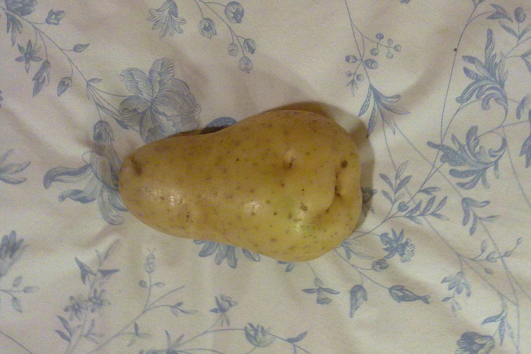 VERA MANTERO - A Enésima Comedora de Batatas