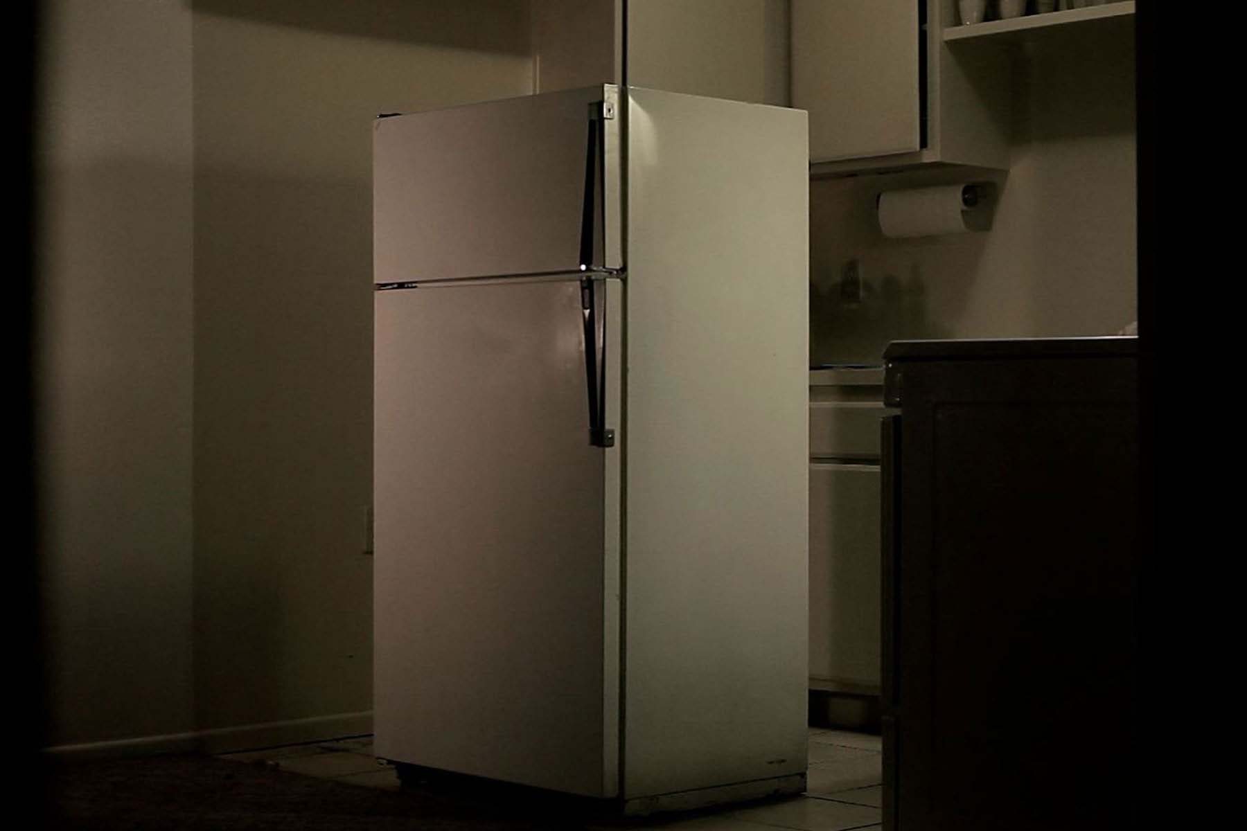 FRANCISCO JANES - Untitled (Fridge)